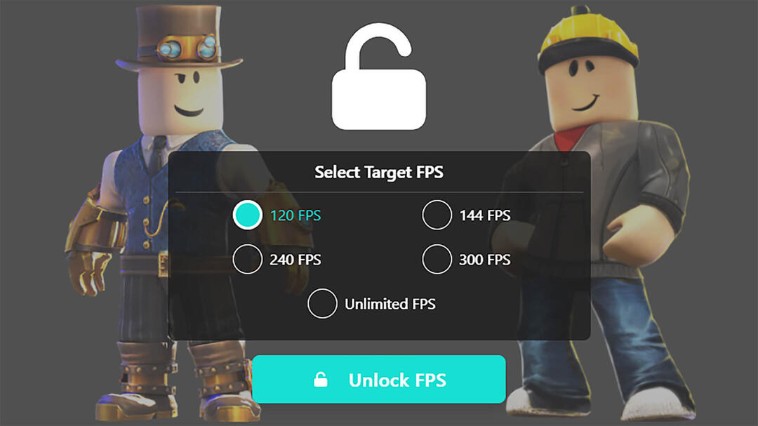 Roblock FPS Unlocker tool on PC